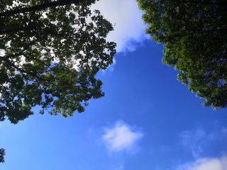 1000007466