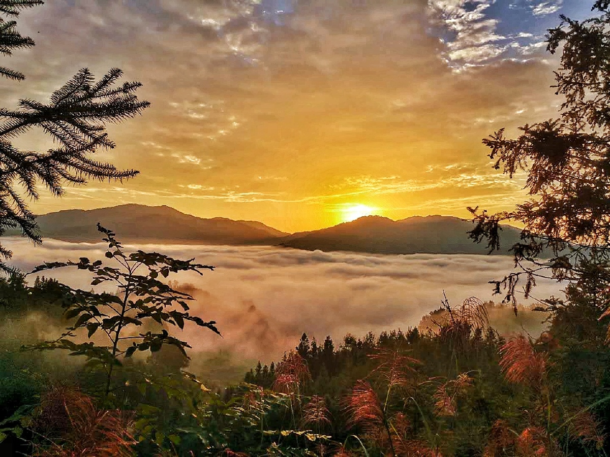 大山里的清晨,初升的日光映衬在山雾缭绕之上……有种沐浴仙境的即视