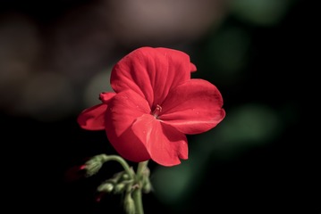 201556