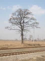 193546