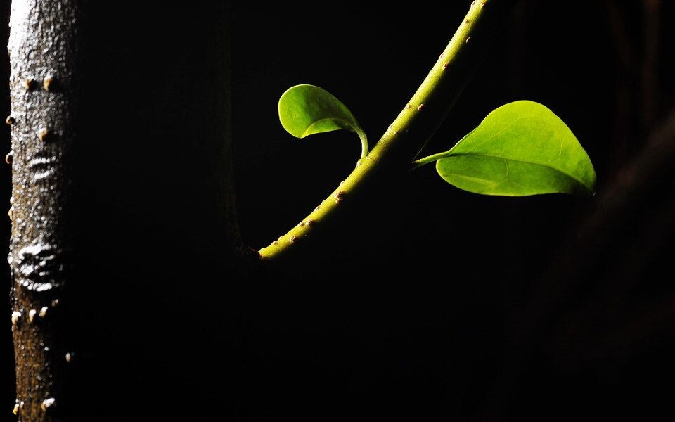_DSC6663<br />
