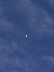 4C246735-5EEB-46D6-BDA7-AC58B1E66CB2/L0/001