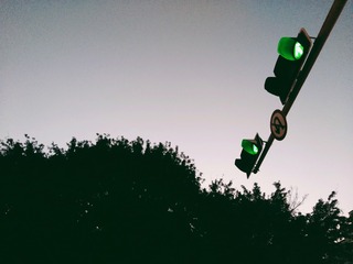 3040216