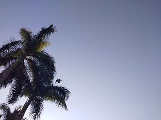 3030494