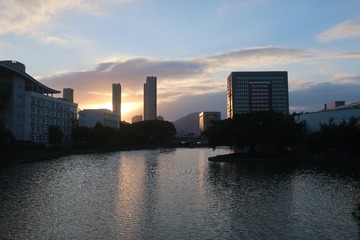 1206354