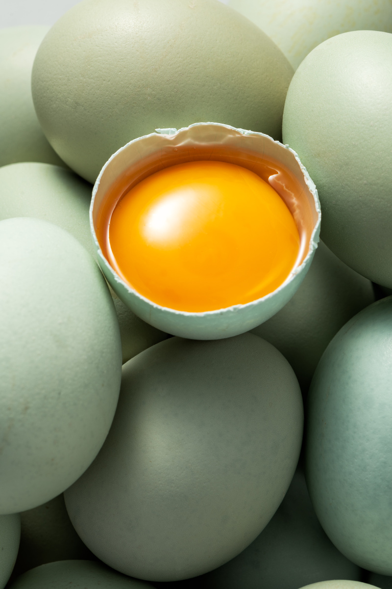 乌鸡蛋 - seonhwa893 - 图虫