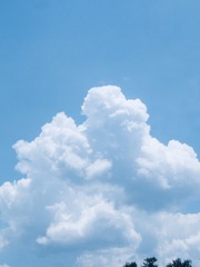 DFDAA665-2EC6-4204-9F06-795EE72D0C0A/L0/001