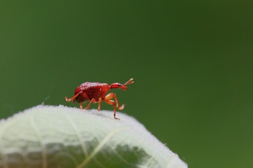 IMG_20170519_082435
