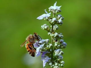 IMG_20170604_213253-01