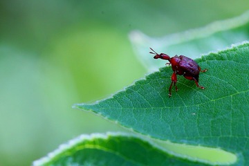 IMG_20170612_111340-01
