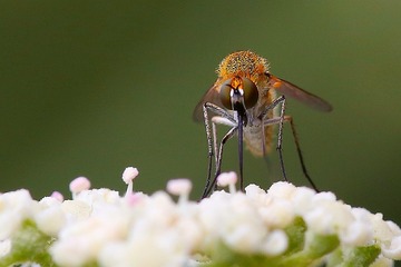 IMG_20170730_205738