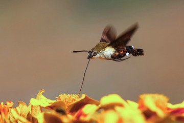 IMG_20171101_204454
