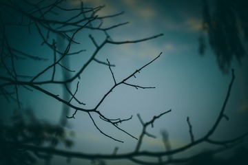190332