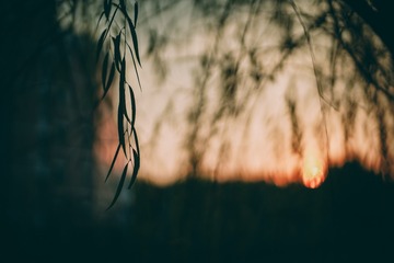 190335