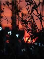 57054974-A40B-49B0-9BD3-7AB1261BE662/L0/001
