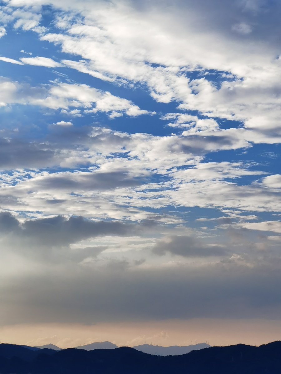 宠辱不惊看庭前花开花落去留无意望天上云卷云舒