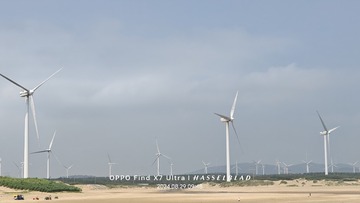 1000004372