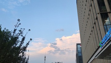 1001067764