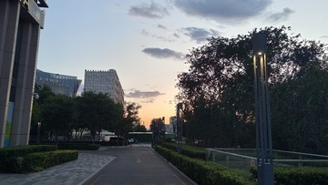 1001067131