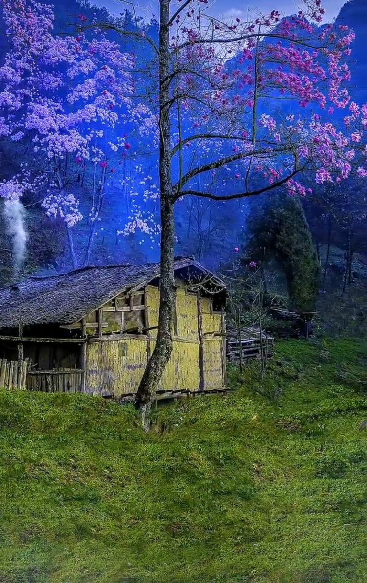 乡村风景,让人疲惫的心慢慢慢慢的安静下来