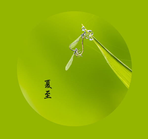 凉珠亮的最新作品