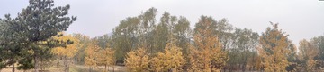 A67E12ED-5791-462A-9CC3-3169DB745152/L0/001