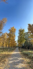 CB2CBC11-9D46-4446-96EB-46AE85977AE5/L0/001