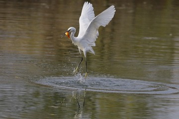 _H1A0587[1]
