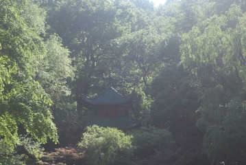 2F3FA46B-EFA7-4DA7-8D92-DBC79DF2C507/L0/001