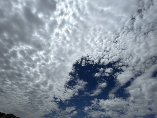 28CF5F52-5BB7-4596-89A8-3816087E545C/L0/001
