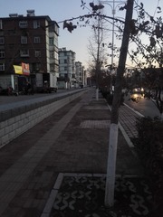 4261091