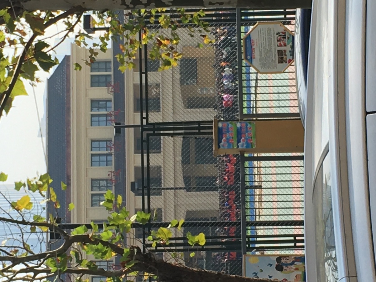 合肥168学校玫瑰园校区