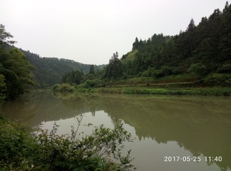 82443
