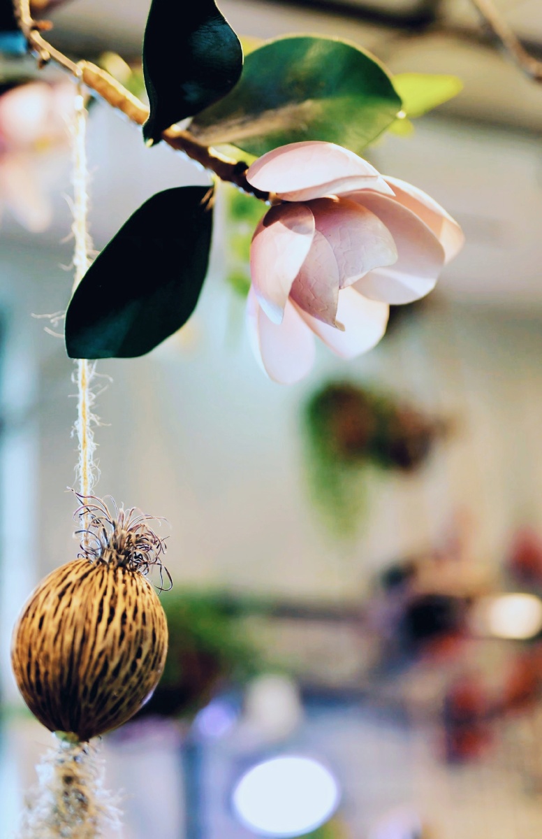 花卉小景场景文瀛公园