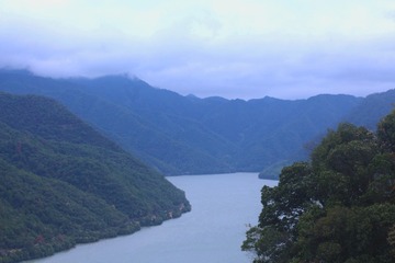201142