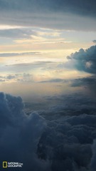 P1014246