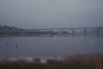 EC29A523-897F-4174-80CC-1CAA9E2265D8/L0/001