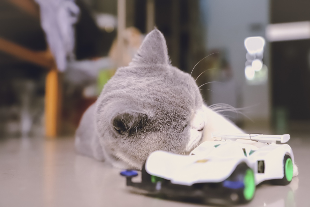 小伙子 你那什么车啊