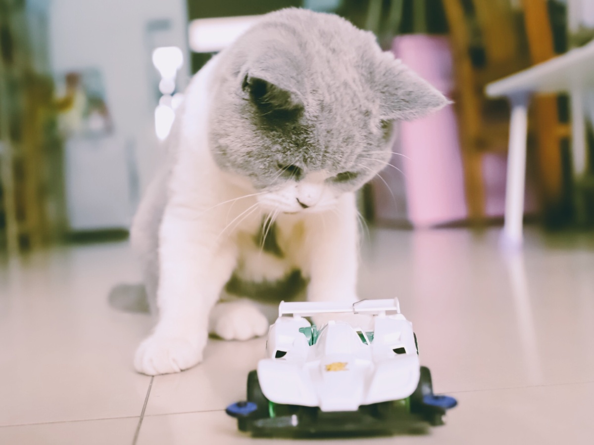 小伙子 你那什么车啊