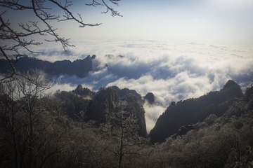 _MG_8193