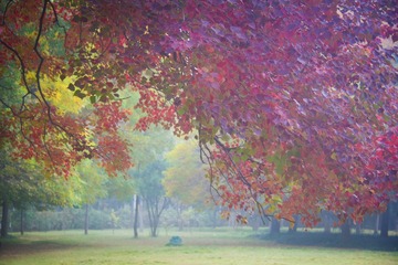 IMG_7637 拷贝