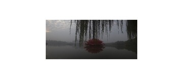 未标题_全景图1_2