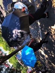 阳伞