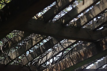 272552