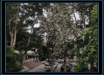 窗外的風景