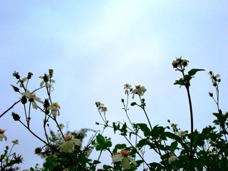 201103051553