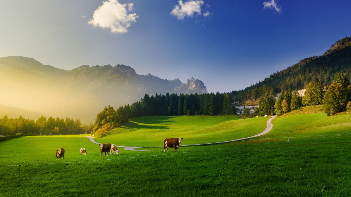 瑞士自然风光 - 谢东-风光摄影 - 图虫