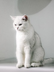 1199