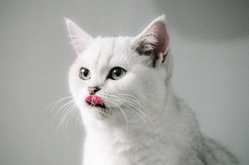 1202