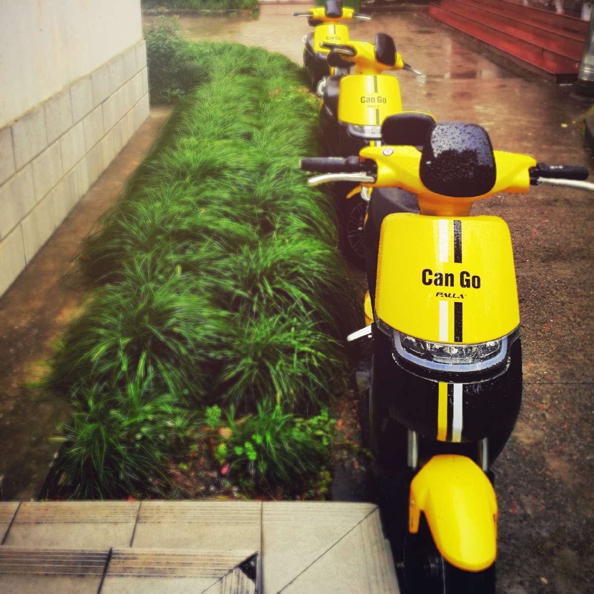 整齐的小黄电驴